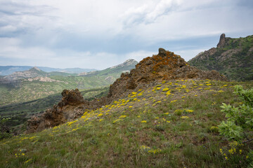 Hill covered with meadow flowers on the background of mountains and cloudy sky