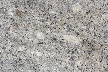 Porphyritic granite surface. Intrusive igneous rock.