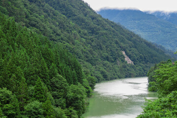 水面が緑色の荘川の風景