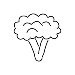 broccoli outline icon vector