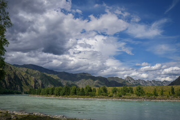 Fototapeta na wymiar Majestic Katun river surrounded by rocky mountains, wooded banks against a blue sky with white clouds. Beautiful natural landscape.