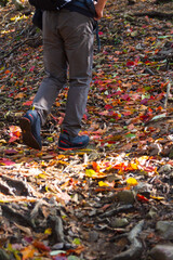 秋の武奈ヶ岳 登山風景