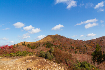 Fototapeta na wymiar 紅葉の武奈ヶ岳 登山道から山頂を望む