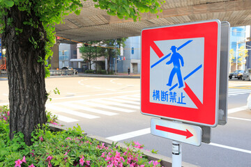 本郷三丁目交差点道路標識 Wall Mural Wallpaper Murals Paylessimages 本郷三丁目交差点道路標識 Wall Mural Wallpaper Murals Paylessimages