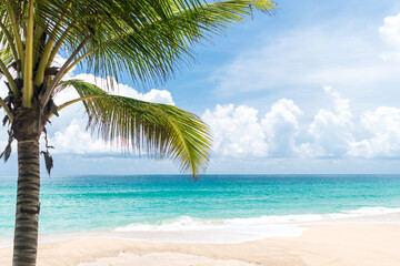 Naklejka na ściany i meble Tropical coconut tree at beach and white sand in summer season with sun light blue sky.