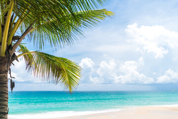 Obraz na płótnie Canvas Tropical coconut tree at beach and white sand in summer season with sun light blue sky.