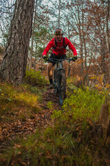 Fototapeta na wymiar Mountain biker riding easy downhill in autumn setting on a picturesque green singletrack trail. Frontal view.