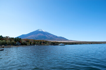 紅葉と山中湖を介して眺め見る富士山の姿、凛として美しい