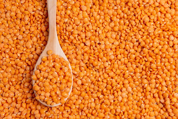 red lentils Lens culinaris against, with copy space. Selective focus. texture background
