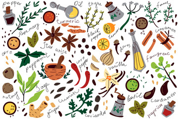 Spices doodle set - obrazy, fototapety, plakaty