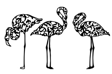 Flamingo silhouettes with ornament. Basis graphics for paper cut on white background