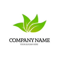 green leaf nature logo vector illustration 