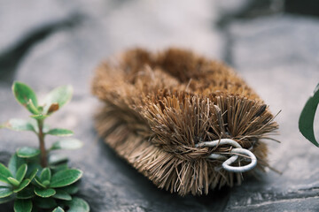 石の上に置かれたタワシ