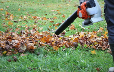 Worker cleaning falling leaves in autumn park. Man using leaf blower for cleaning autumn leaves....