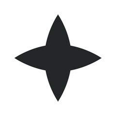Shine icon, Clean star icon on white background