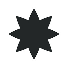 Shine icon, Clean star icon on white background