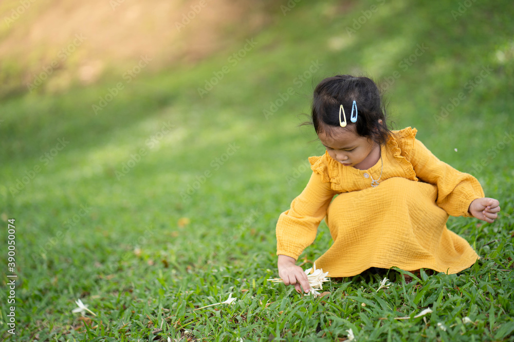 Wall mural Cute little girl sitting at field collecting Indian cork flower.