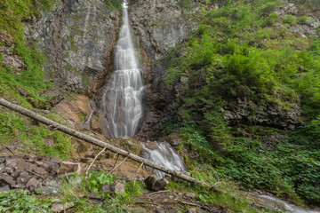small waterfall among the forest