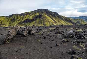 Majestic volcanic landscape covered with moss in Iceland highlands