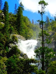 North America, United States, California, Yosemite National Park