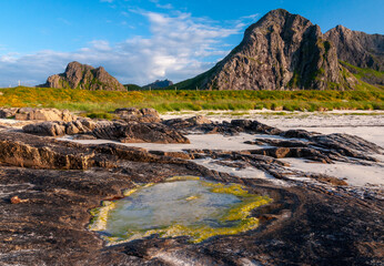 landscape in the morning
