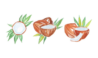 Watercolor Coconut with Palm Leaves Vector Composition Set