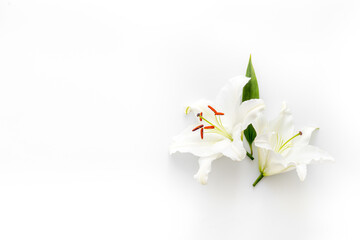 Condolence card with white flowers lily. Funeral symbol