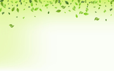 Green Leaves Flying Vector Green Background 