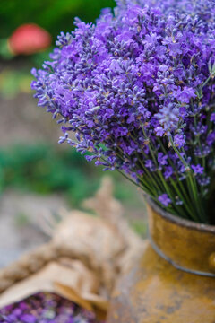 Lavender is an old jug on a blurred background. Vertical image.