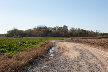 Naklejka premium road in the field