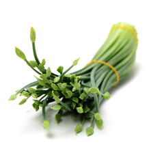 Obraz premium a bunch of flowering chinese garlic chives on the white background