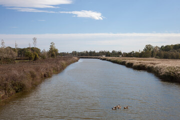 river in the country