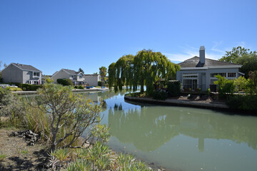 Obraz premium アメリカの計画住宅地：レッドウッド・ショアーズの街並み