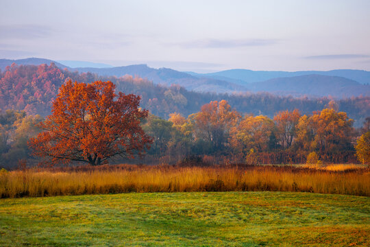 gorgeous countryside at dawn in autumn. trees in colorful foliage on the grassy field. mountains in the distance