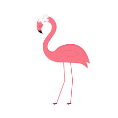 Obraz premium Beautiful flamingo. Vector illustration