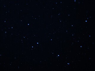 The beautiful Danish flowers and landscapes of the forests and country side of Jylland (Jutland) in Denmark