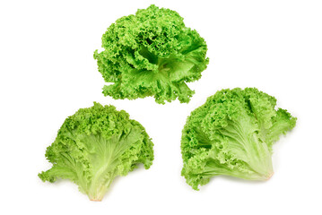 Iceberg lettuce isolated on white background.