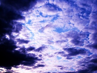 Obraz premium The beautiful Danish flowers and landscapes of the forests and country side of Jylland (Jutland) in Denmark