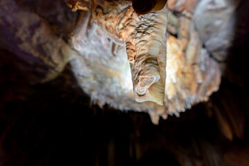 Huge broken stalactite in the cave with text space