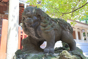 富岡八幡宮　狛犬