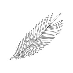 Palm leaf is a tropical plant with narrow leaves. Botanical design element for the design of magazines, articles and brochures. Simple black-white vector illustration. Hand-drawn, isolated on white