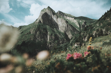 Allg&auml;uer Alpen bei Oberstdorf, Oytal