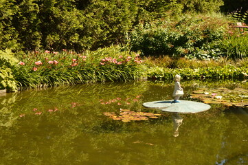 The beautiful flowers, forests and landscapes of the Danish country side on the mainland Jutland (Jylland), Denmark