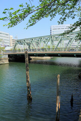 Fototapeta premium 大横川 東富橋