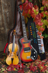 Violin, electric guitar, synthesizer next to the fence with ivy leaves.
