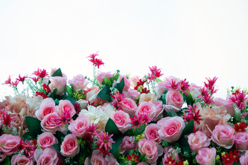 Colorful artificial flowers on white background