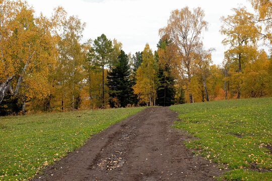 Beautiful pictures of autumn, panoramas of the river valley, views of the autumn forest, forest road, mountain stream.