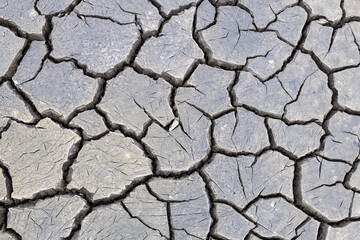 cracked soil on the former bottom of the river, the water in the reservoir disappeared