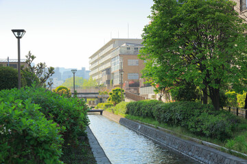 古石場川親水公園