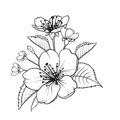 Hand drawn design elements sakura flowers collection.